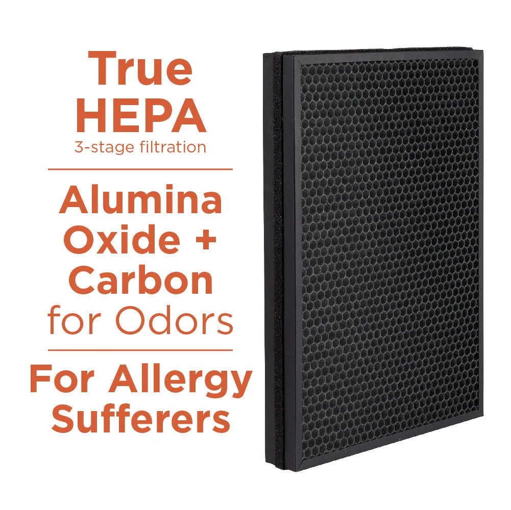 AprilAire RF09550A Allergy True HEPA Air Purifier Replacement Filter - Captures Allergens and Odors
