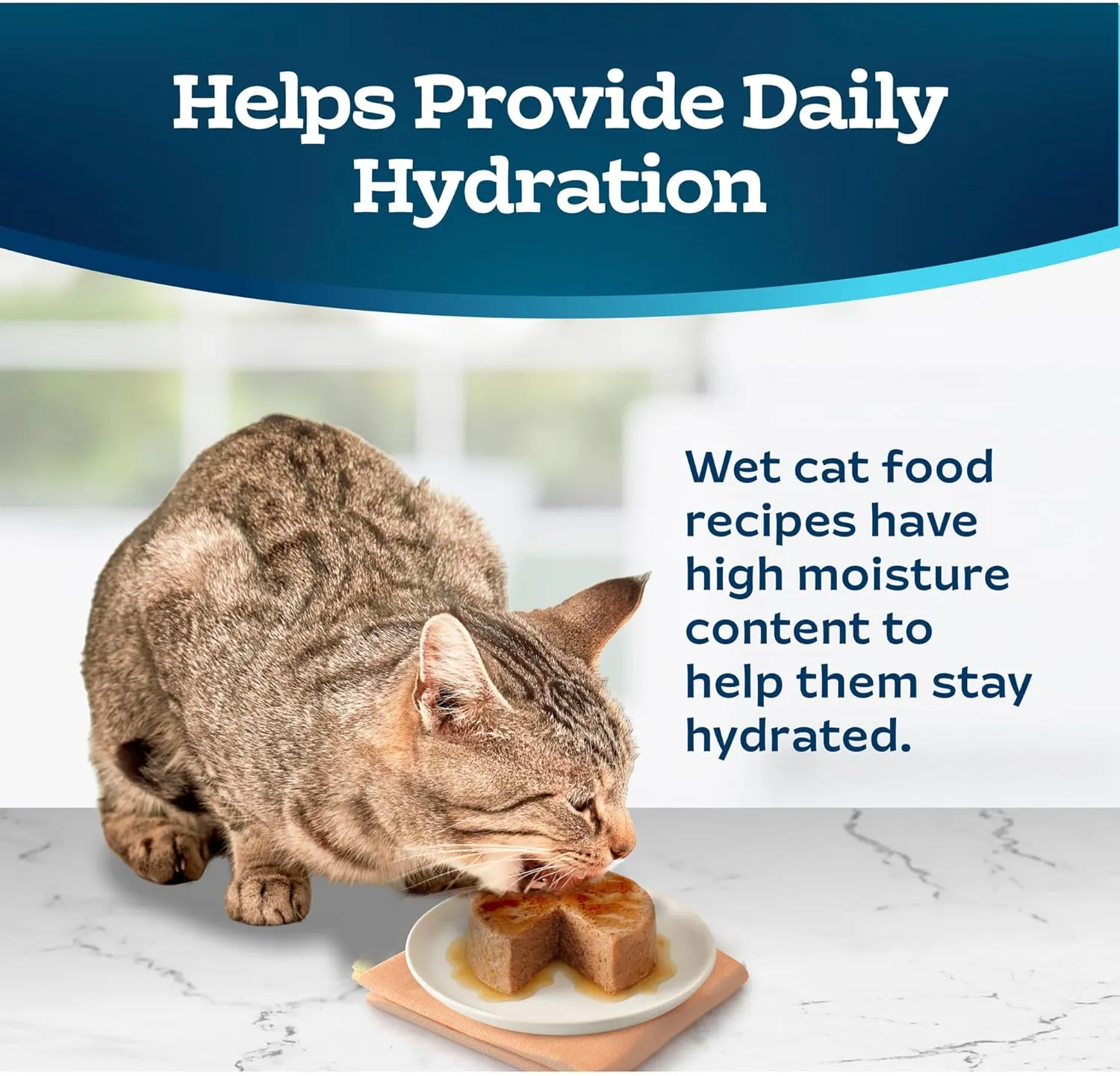Blue Buffalo Tastefuls Wet Cat Food Pat, Made with Natural Ingredients, Turkey and Chicken Entre, 5.5-oz Cans (24 Count)