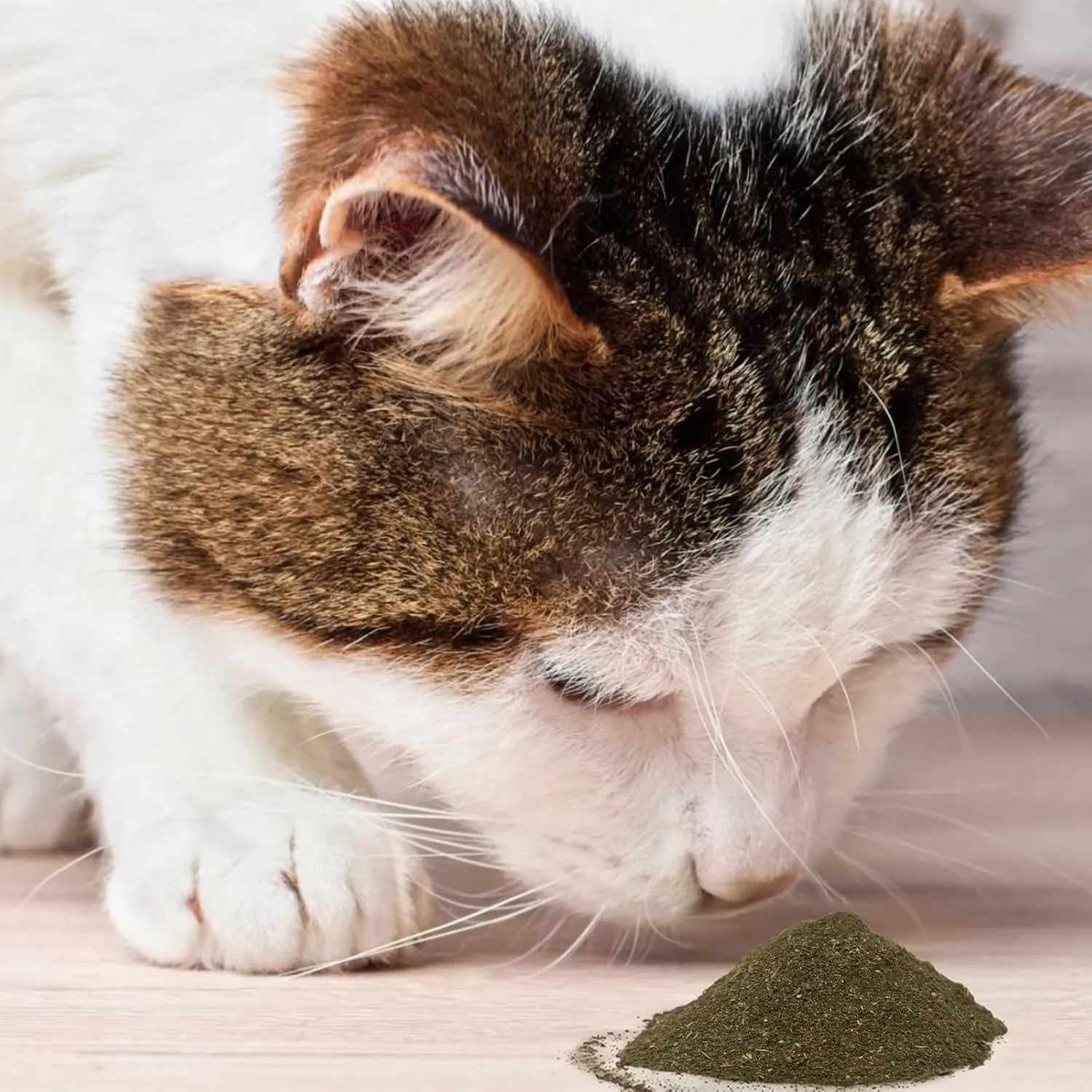 Cat Toys - Blend Silvervine Powder 75g with 5 Pouches, Catnip Alternative, 100% Natural Silver Vine Gall Fruit Powder & Silvervine Leaves, Suitable for All Cat Ages