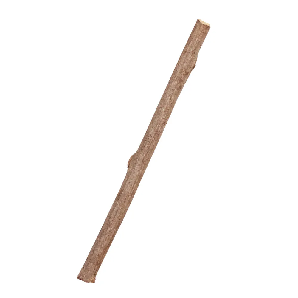 CattyMan Natural Silvervine Branch Sticks Chews With Cat Toy 6ct