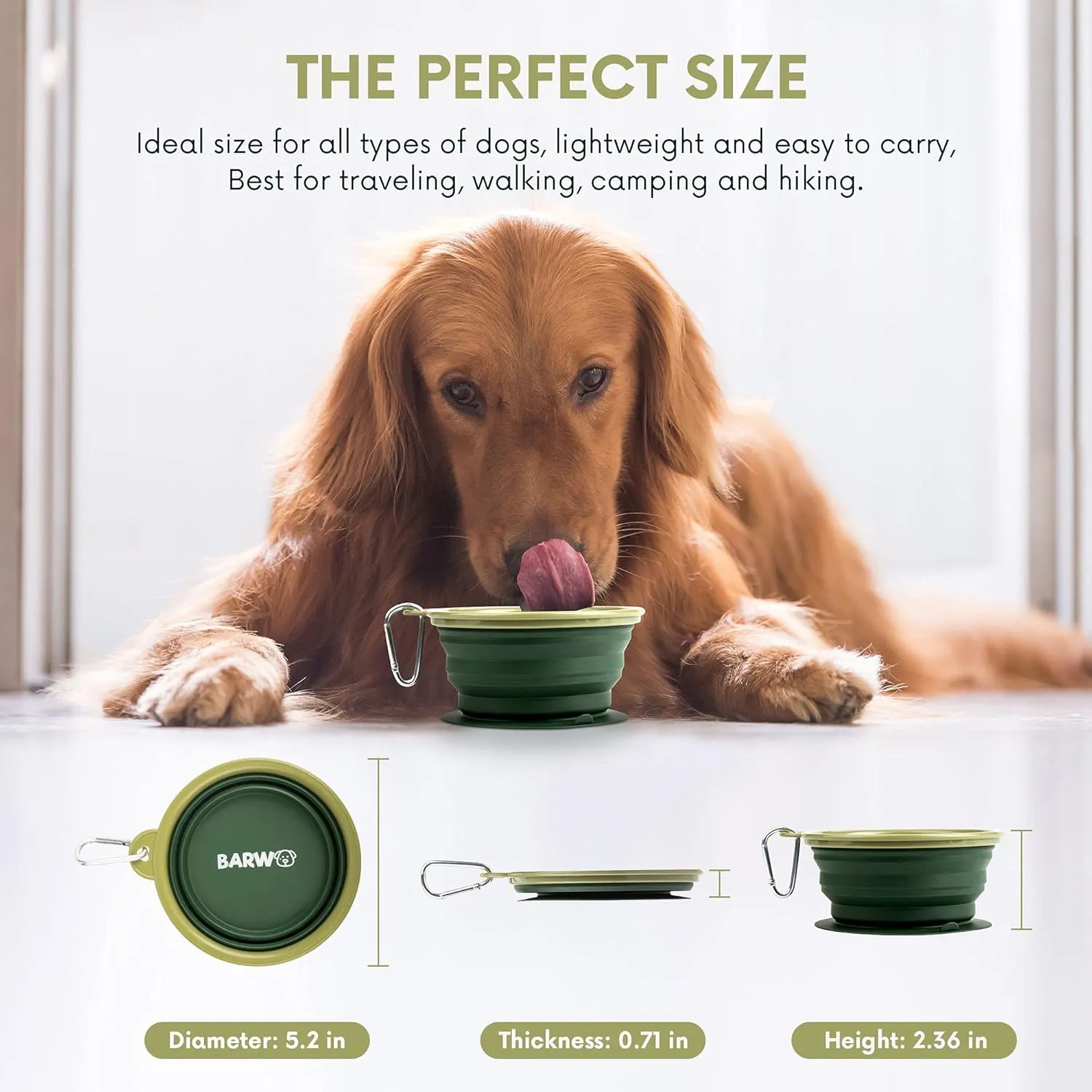 Collapsible Dog Bowl with Non Skid Suction Base -100% Pure Silicone Foldable Water Bowl, Portable Dog Bowl for Travel, Hiking & Camping 350mL 1 Piece