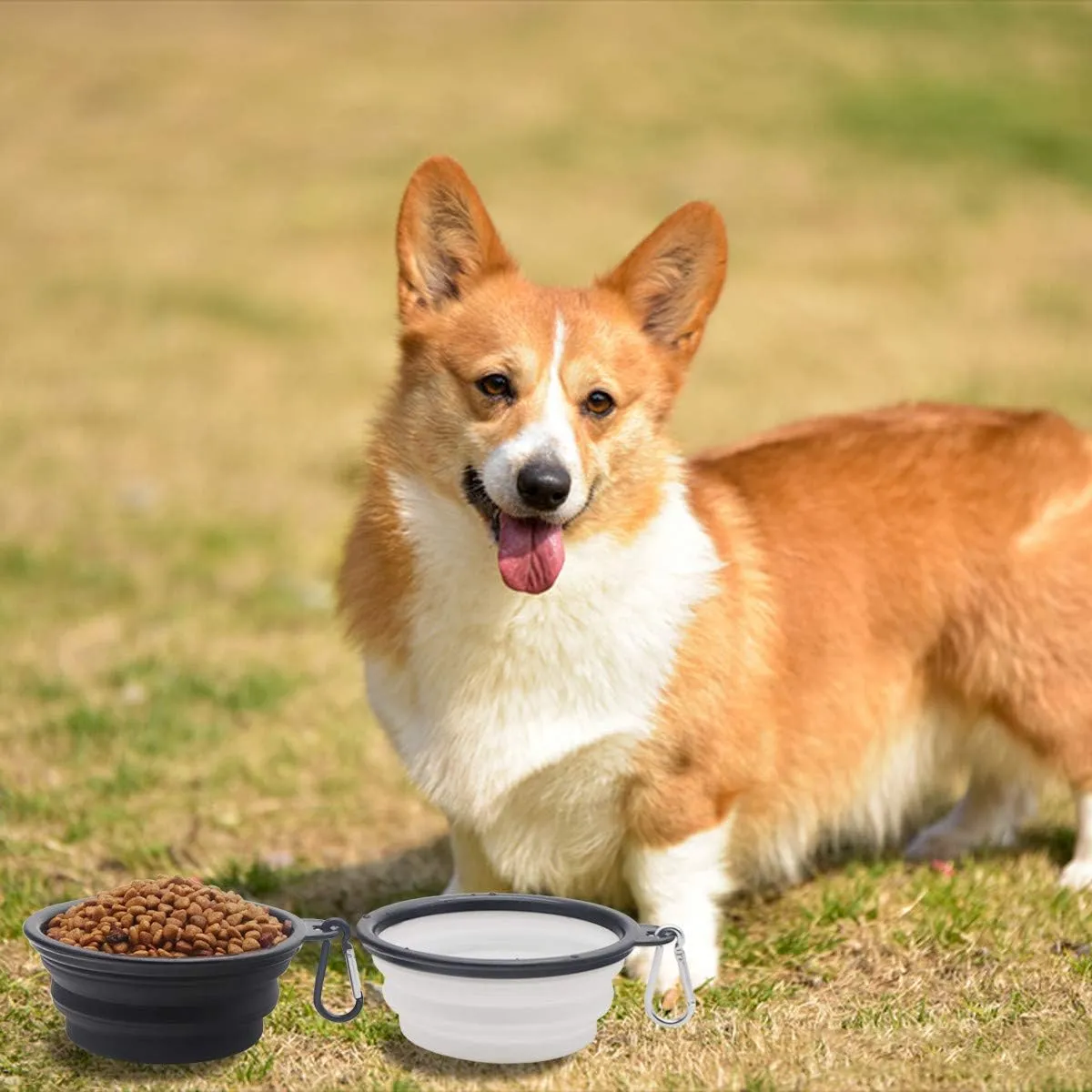 Collapsible Dog Bowl,2 Pack Portable and Foldable Pet Travel Bowls Collapsable Dog Water Feeding Bowls Dish for Dogs Cats and Small Animals,with Lids (Small, Black White)