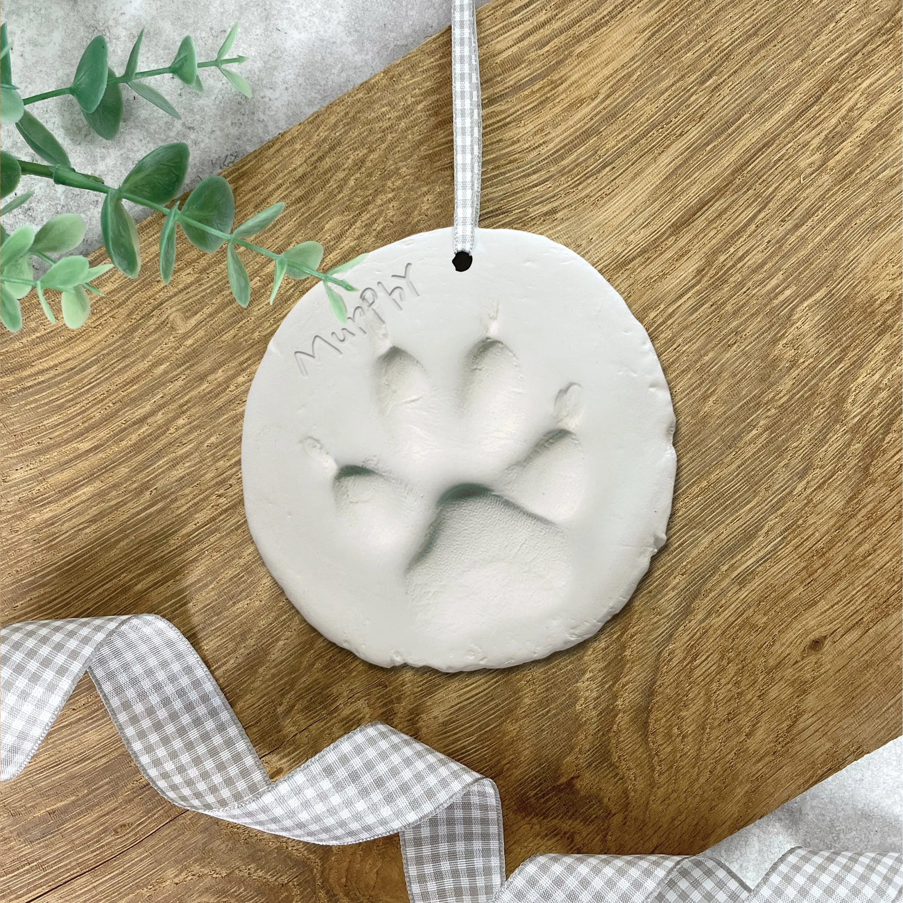 Complete Pet Keepsake Kit