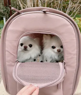 Go Everywhere Backpack Pet Carrier Dusty Mauve