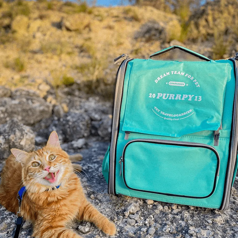 Iced tea backpack(liquidation for save $29.5)