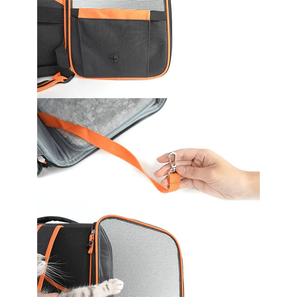 Iced tea backpack(liquidation for save $29.5)