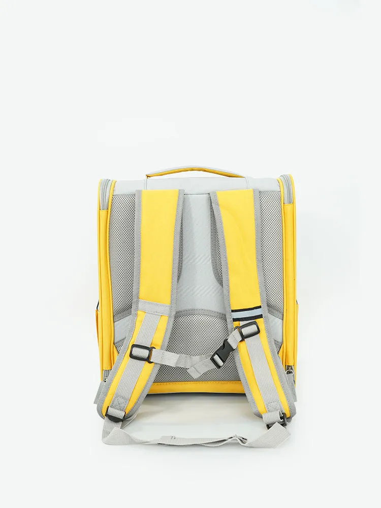 Iced tea backpack(liquidation for save $29.5)