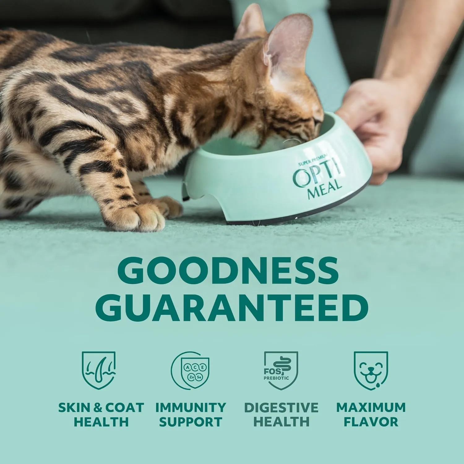 Optimeal Grain-Free Wet Cat Food  Shrimp & Salmon Recipe, High Protein & Moisture Rich Indoor Adult Cats Food, Tender Morsels in Savory Gravy Natural Ingredients - 3 oz Pouches, 12 Pack