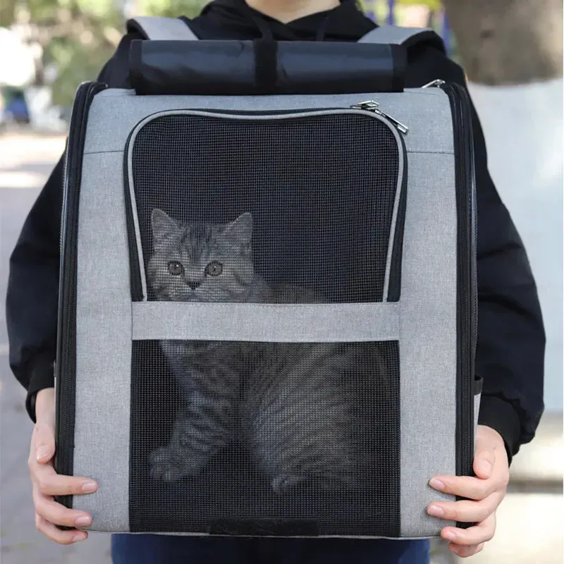 Pet Cat Backpack