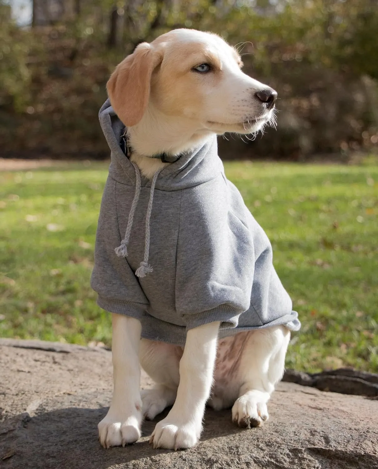 Pet Life  Hooded Dog Sweater Made with Soft and Premium Plush Cotton - Dog Hoodie Pet Sweater Features Hook-and-Loop Closures for Easy Access and Machine Washable