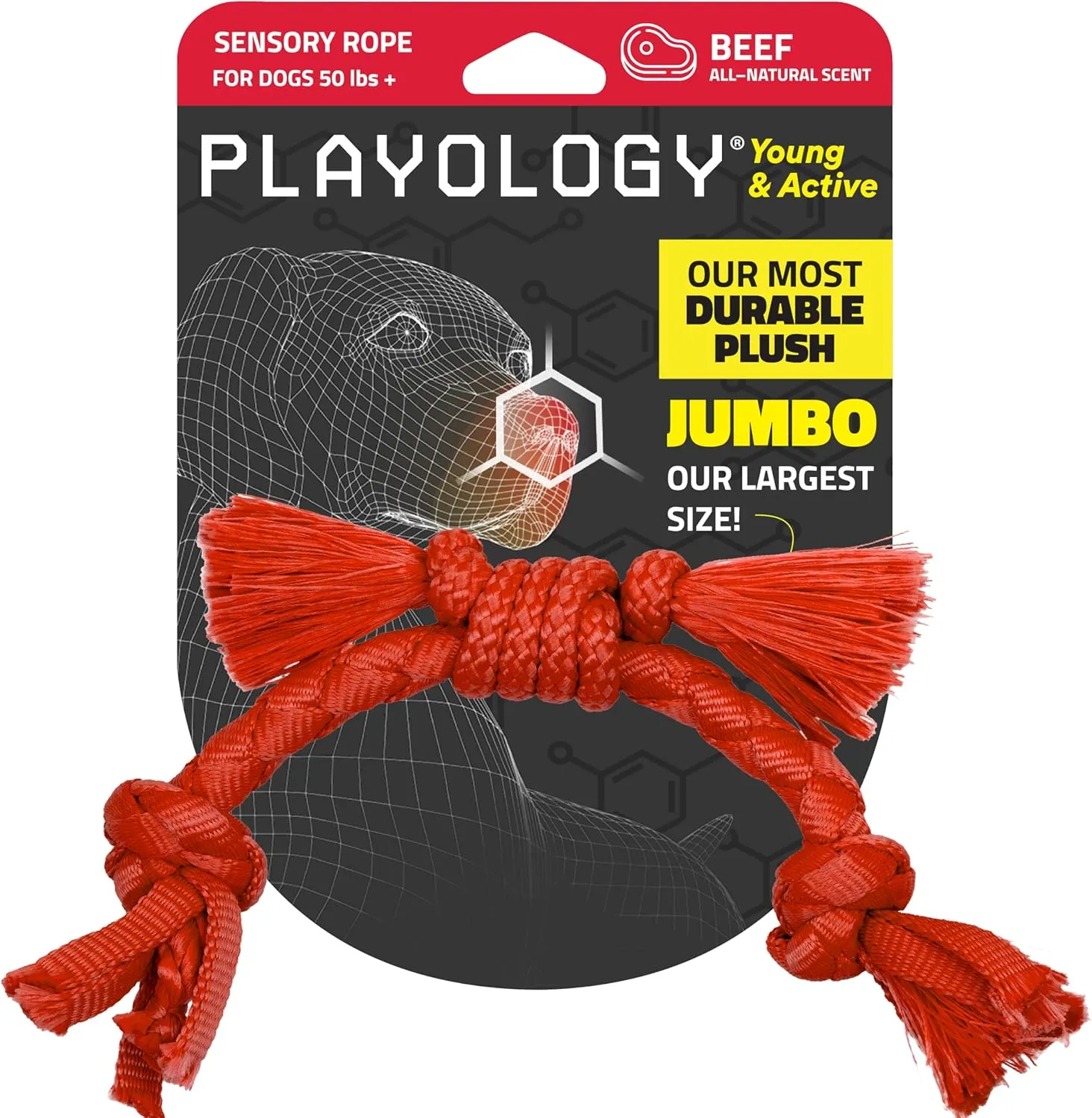 Playology Puppy Rope Dog Toy for Sensory Development | Engaging All-Natural Beef Scented Medium Sized Interactive Tug & Chew Dog Toy for Puppies up to 50 lbs