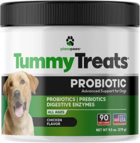 Probiotics for Dogs All Ages - Dog Probiotics for Digestive Health - Digestive Enzymes for Gut Flora, Diarrhea & Bowel Support - Gut Health Support Prebiotics for Dogs - 90 Probiotic Chews for Dogs